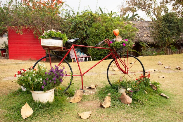 Vecchio rosso classico vintage retrò bicicletta decorazione esterna mobili da giardino all'aperto e fiori per i viaggiatori viaggio visita riposo relax al bar caffetteria alla collina della città di Pai a Mae Hong Son Thailandia