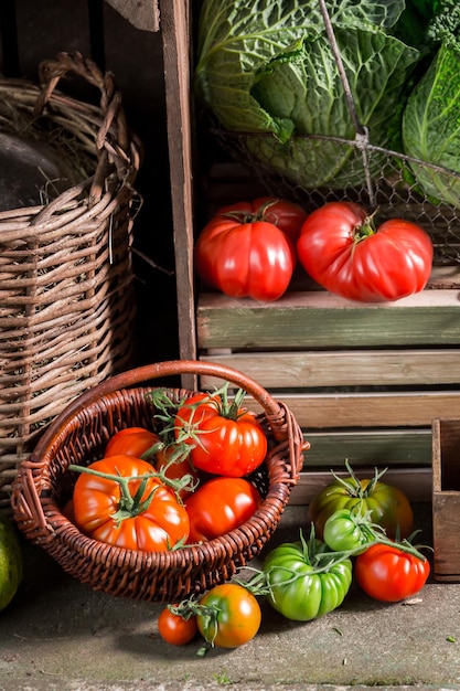 Vecchio seminterrato con frutta e verdura raccolte