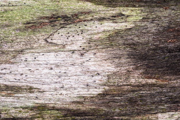 Vecchio sfondo di tavola di legno