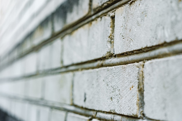 Vecchio spazio bianco della copia della superficie del muro di mattoni