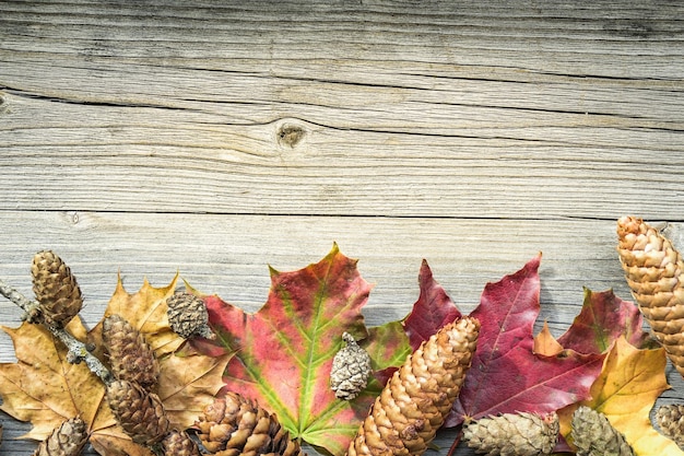 Vecchio tavolo con elementi naturali autunnali e invernali