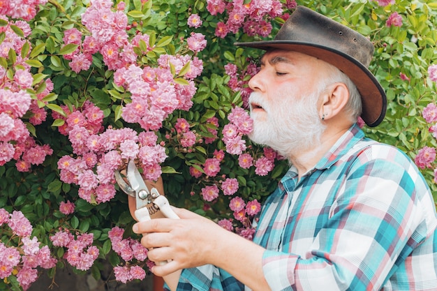 vecchio uomo che lavora in giardino su sfondo di rose