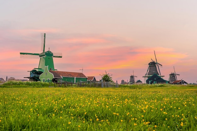 Vecchio villaggio tradizionale con mulini a vento olandesi ad Amsterdam, Paesi Bassi al tramonto