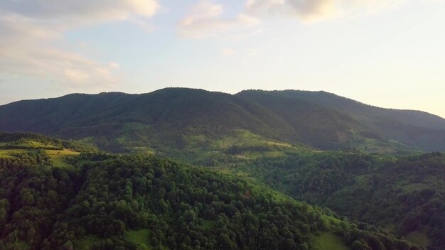 Veduta aerea degli infiniti pascoli lussureggianti delle distese dei Carpazi e dei terreni agricoli Coltivati campo agricolo Paesaggio montano rurale al tramonto Ucraina