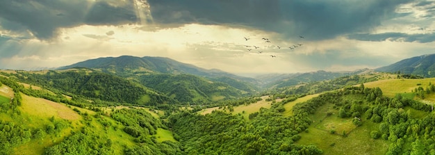 Veduta aerea degli infiniti pascoli lussureggianti delle distese dei Carpazi e dei terreni agricoli Coltivati campo agricolo Paesaggio montano rurale al tramonto Ucraina