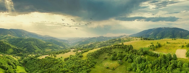 Veduta aerea degli infiniti pascoli lussureggianti delle distese dei Carpazi e dei terreni agricoli Coltivati campo agricolo Paesaggio montano rurale al tramonto Ucraina