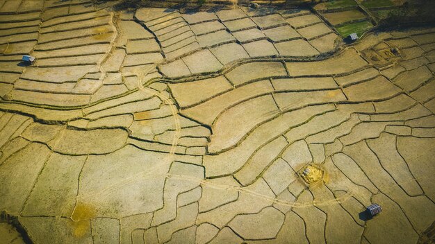 Veduta aerea dei campi di terrazze di riso dopo il raccolto