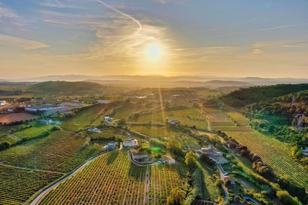 Veduta aerea dei vigneti di Penedes a Barcellona