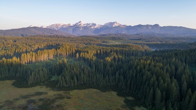 Veduta aerea del bosco e dei prati di Pokljuka