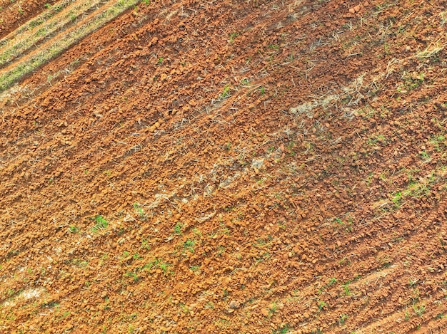 Veduta aerea del campo agricolo arato Lavoro minimo per suoli più sani Suolo fertile in organico