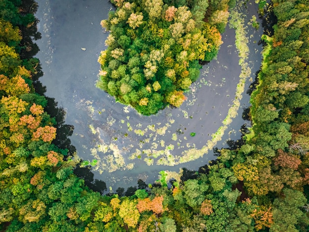 Veduta aerea del fiume e della foresta in autunno