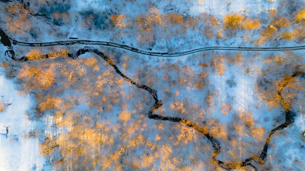 Veduta aerea del fiume su una pianura innevata durante una limpida mattina d'inverno e un'alba luminosa