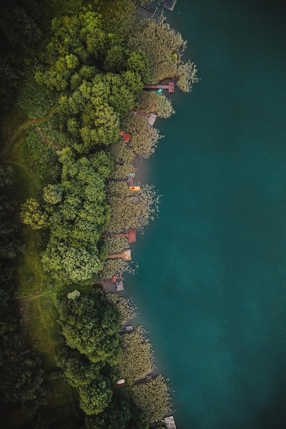 Veduta aerea del mare e degli alberi