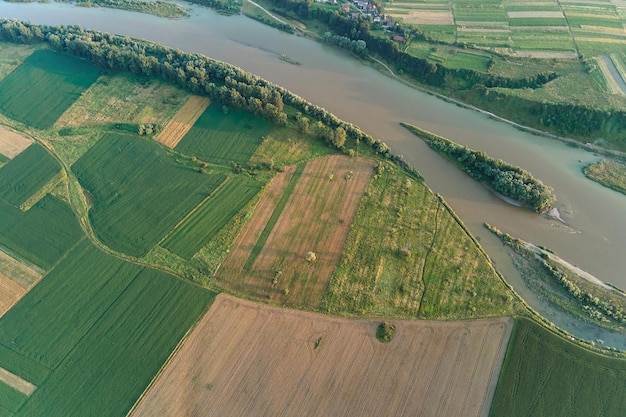 Veduta aerea del paesaggio delle case del villaggio e dei campi coltivati verdi lontani con colture in crescita in una luminosa giornata estiva