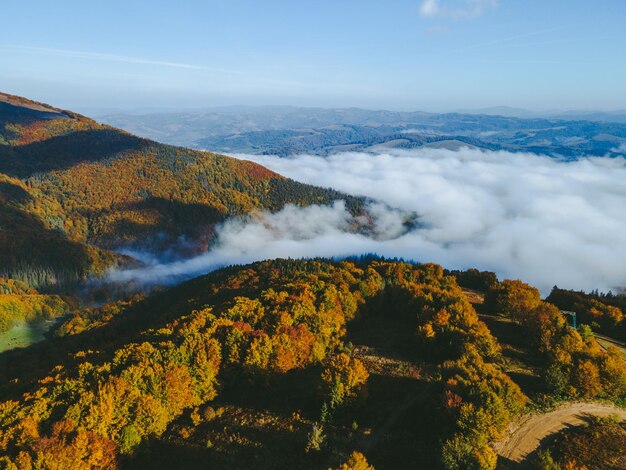 Veduta aerea del paesaggio delle montagne dei Carpazi autunnali