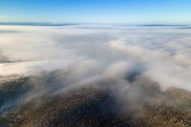 Veduta aerea del paesaggio invernale con alberi forestali spogli scuri ricoperti da una fitta nebbia.
