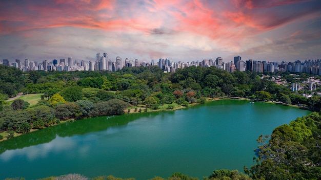 Veduta aerea del Parco Ibirapuera a Sao Paulo, Brasile. Parco con area verde preservata