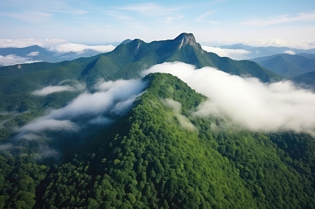 Veduta aerea del picco di montagna nebbioso circondato da alberi verdi