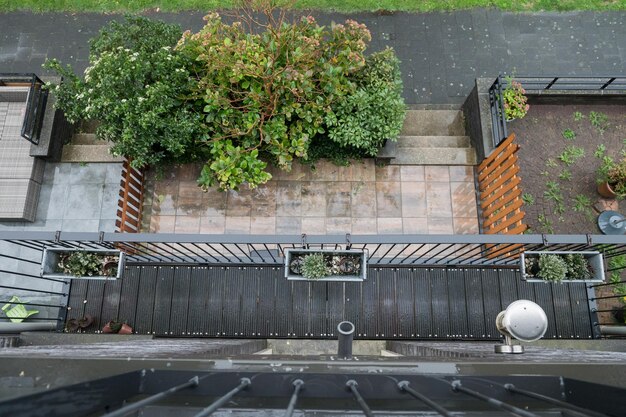 Veduta aerea del sentiero del giardino residenziale