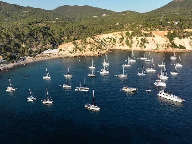 Veduta aerea dell'isola di Cala dHort Ibiza