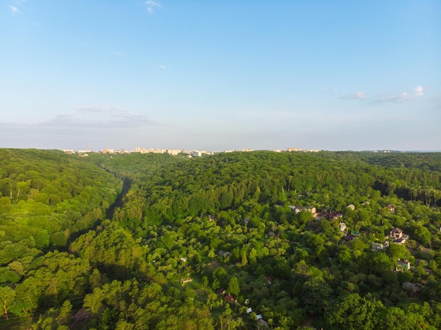 Veduta aerea della foresta con cielo blu