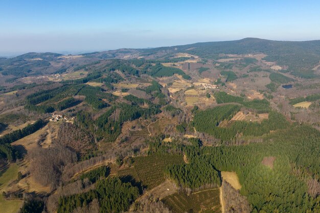 Veduta aerea della foresta di pini con un'ampia area di alberi abbattuti a causa dell'industria globale della deforestazione Influenza umana dannosa sull'ecologia mondiale