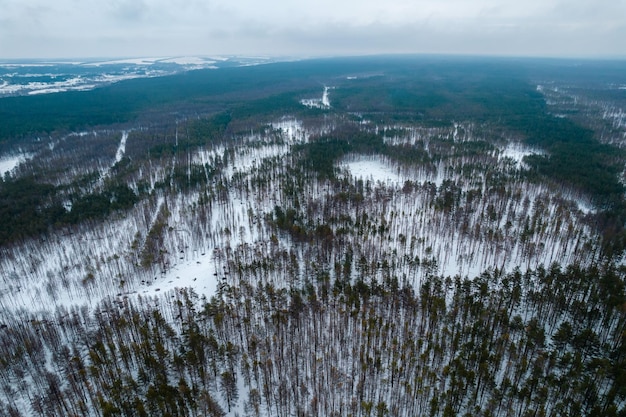 Veduta aerea della foresta in una foto del drone invernale