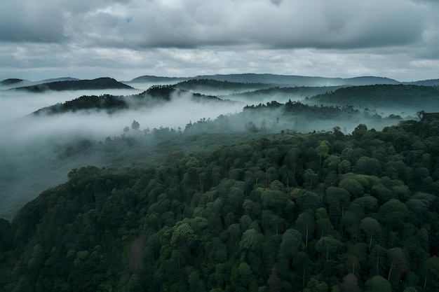 Veduta aerea della foresta verde scuro con nuvole nebbiose concetto di ecosistema
