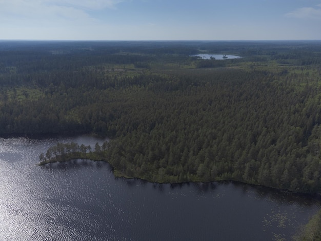 Veduta aerea della natura nordica della scandinavia