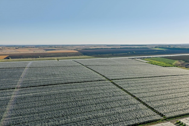 Veduta aerea della serra di plastica sul frutteto di mele Coltivazione di piante in agricoltura biologica