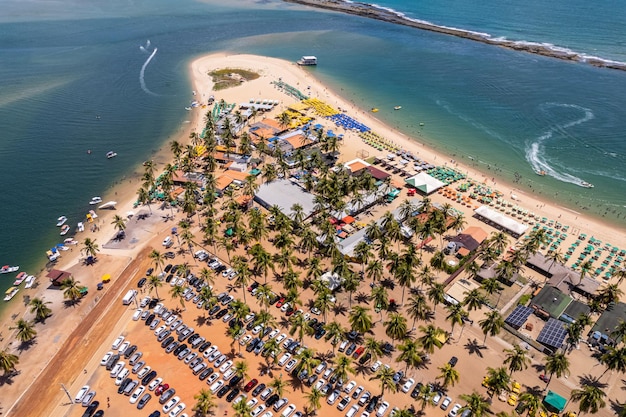 Veduta aerea della spiaggia di Gunga o "Praia do Gunga", con le sue acque limpide e palme da cocco, Maceio, Alagoas. Regione nord-orientale del Brasile.