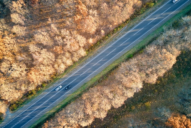 Veduta aerea della strada interurbana con auto a guida veloce tra gli alberi della foresta autunnale al tramonto Vista dall'alto dal drone del traffico autostradale in serata