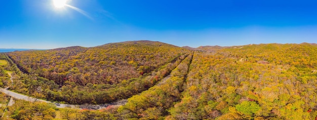 Veduta aerea della strada nella bellissima foresta autunnale al tramonto Bellissimo paesaggio con alberi di strade rurali vuote con foglie rosse e arancioni Autostrada attraverso il parco Vista dall'alto dal drone volante Natura