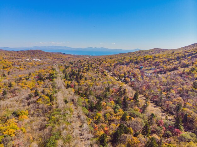 Veduta aerea della strada nella bellissima foresta autunnale al tramonto Bellissimo paesaggio con alberi di strade rurali vuote con foglie rosse e arancioni Autostrada attraverso il parco Vista dall'alto dal drone volante Natura