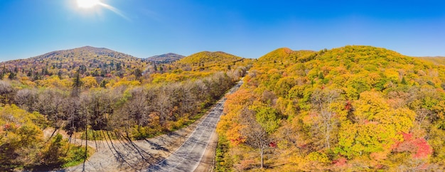 Veduta aerea della strada nella bellissima foresta autunnale al tramonto Bellissimo paesaggio con alberi di strade rurali vuote con foglie rosse e arancioni Autostrada attraverso il parco Vista dall'alto dal drone volante Natura