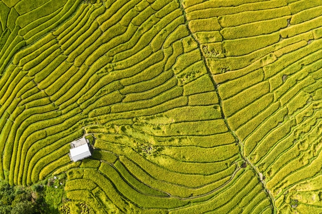 Veduta aerea della terrazza coltivata sulle colline