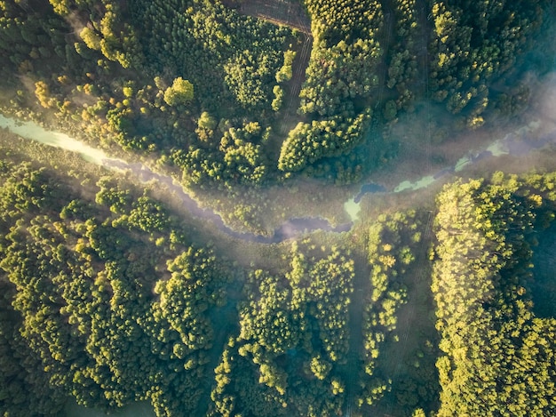 Veduta aerea della valle nebbiosa all'alba in autunno