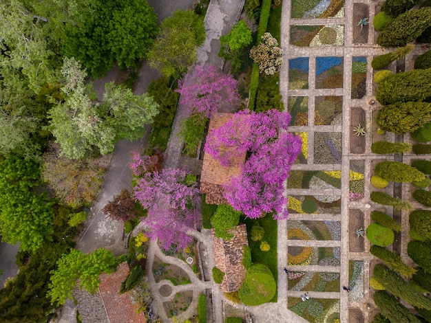 Veduta aerea dello splendido giardino botanico di Balchik in Bulgaria durante la stagione primaverile Ammira la vegetazione lussureggiante e i fiori che sbocciano mentre prendono vita in questo paradiso di pace