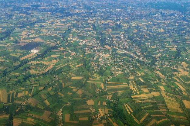 Veduta aerea di campi verdi, campagna forestale