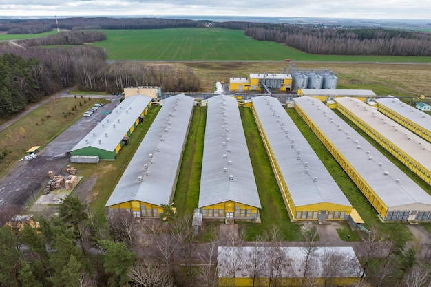 Veduta aerea di filari di aziende agricole con silos e complesso zootecnico agroindustriale