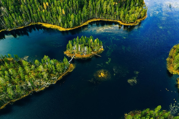 Veduta aerea di foreste verdi selvagge e laghi e fiumi blu in estate Finlandia