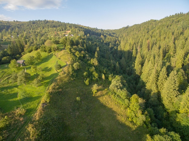 Veduta aerea di Great Green Ridge. Paesaggio montano boscoso