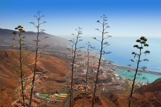 Veduta aerea di Santa Cruz de la Palma con agave
