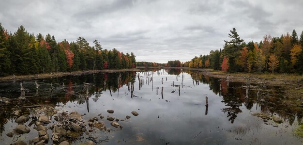 Veduta aerea di un lago durante una soleggiata giornata autunnale Sfondo colorato della natura del fogliame