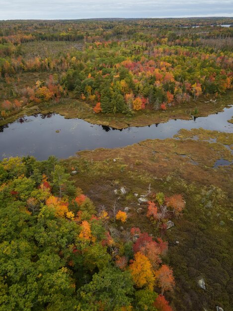 Veduta aerea di un lago durante una soleggiata giornata autunnale Sfondo colorato della natura del fogliame