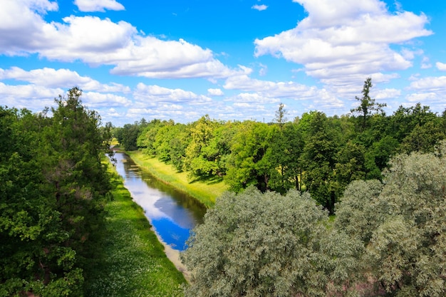 Veduta aerea di un piccolo fiume tra una foresta verde in estate