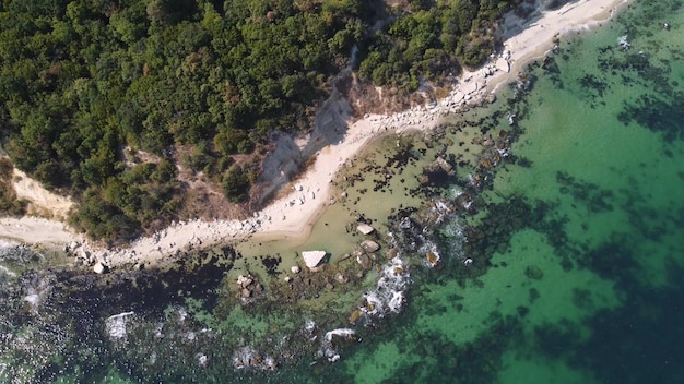 Veduta aerea di una bellissima spiaggia con una foresta e rocce