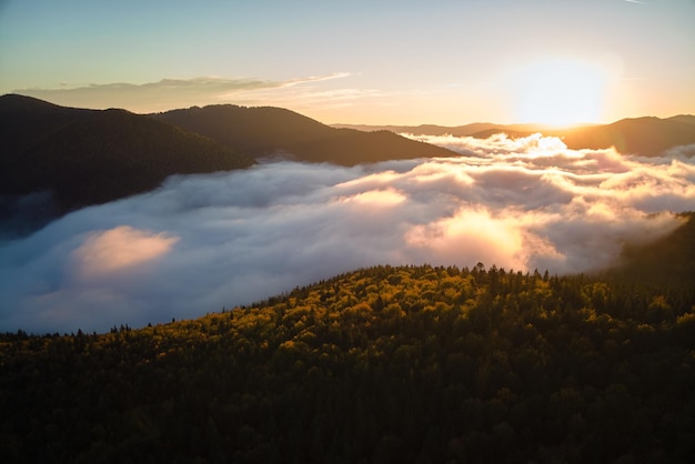 Veduta aerea di una mattina nebbiosa luminosa su alberi di foresta di montagna scura all'alba autunnale Splendido scenario di boschi selvaggi all'alba