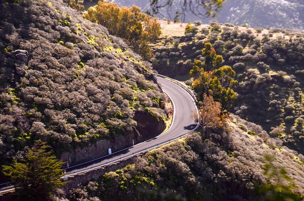 Veduta aerea di una strada asfaltata