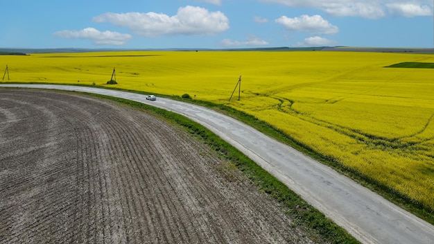 Veduta aerea di una strada attraverso campi agricoli